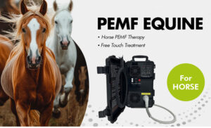 MoveX Portable PEMF,portable PEMF machine